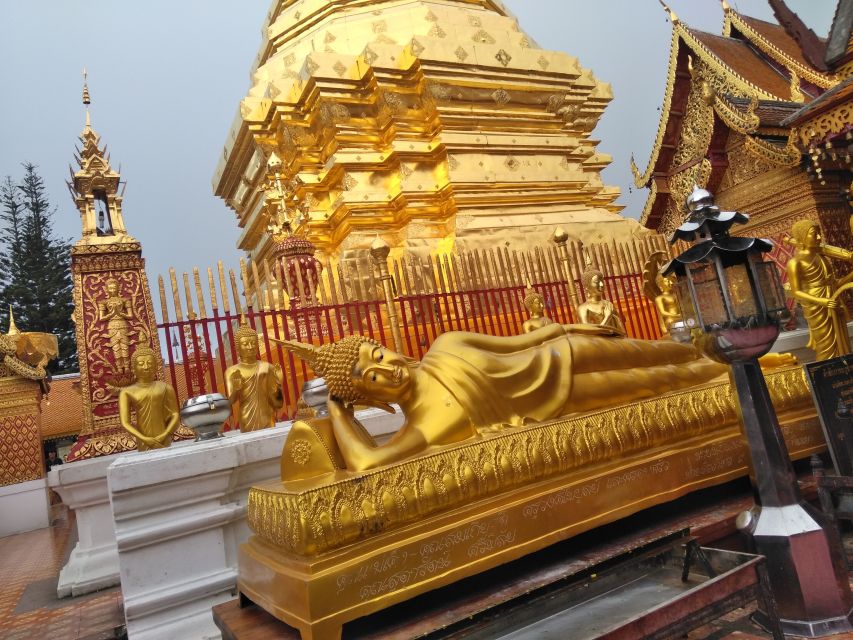 Chiang Mai: 7-Hour Doi Suthep National Park Summit Hiking - Guides, group size, and the feel of the day