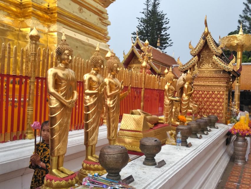 Chiang Mai: 7-Hour Doi Suthep National Park Summit Hiking - Is $60 good value?