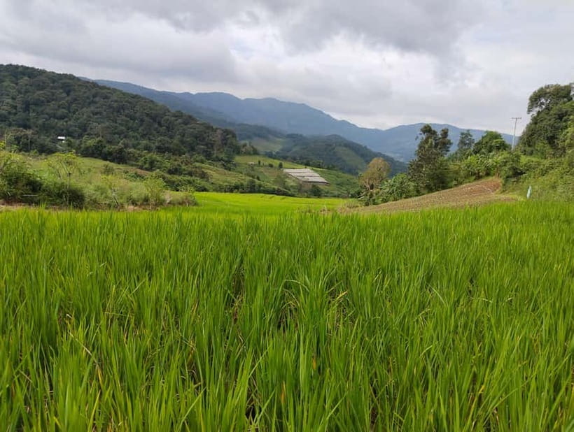 Chiang Mai Authentic Trekking - Key points at a glance