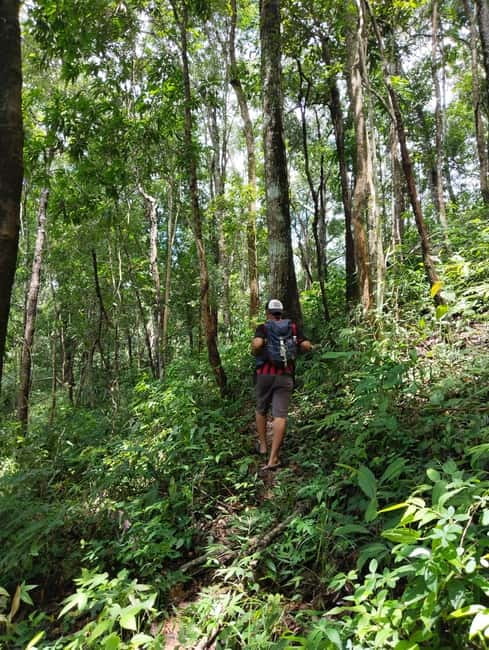 Chiang Mai Authentic Trekking - The four to five hour mountain route