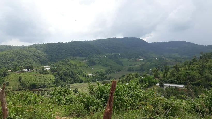 Chiang Mai Authentic Trekking - Forest lunch with a local connection