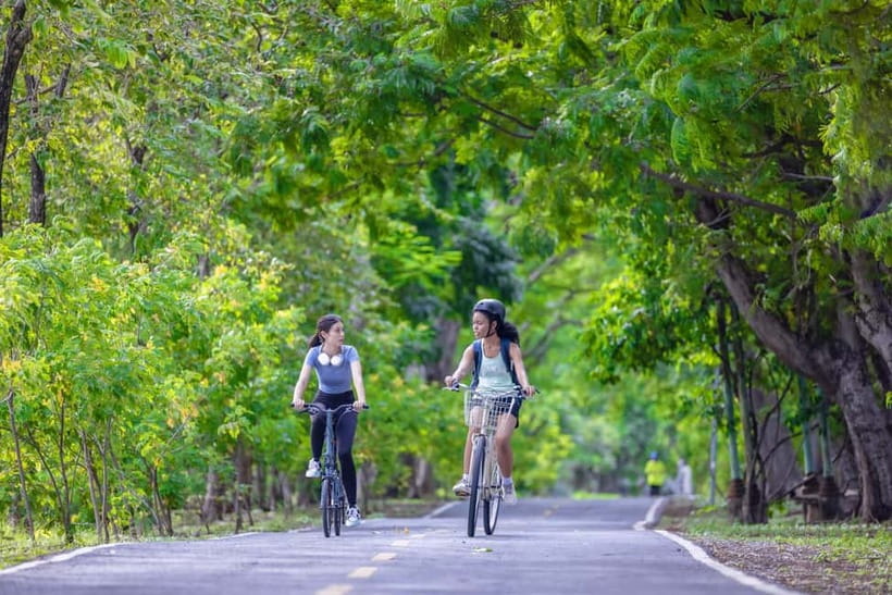 Chiang Mai Bicycle: Into The Lanna Countryside Guided Tour - How to prepare for a smoother ride