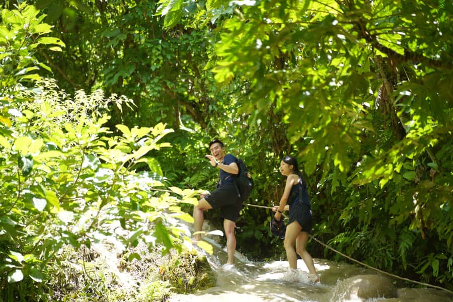 Chiang Mai: Bua Thong Sticky Waterfall & Huge Cave & Buffet - Key points to know before booking