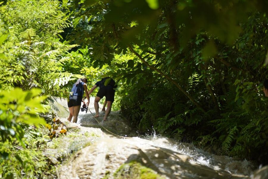 Chiang Mai: Bua Thong Sticky Waterfall & Huge Cave & Buffet - The guide can make or break the climb