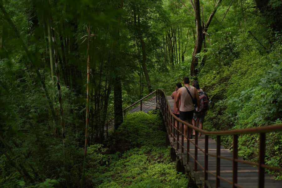 Chiang Mai: Bua Thong Sticky Waterfall & Huge Cave & Buffet - Climbing the four levels of Sticky Waterfall