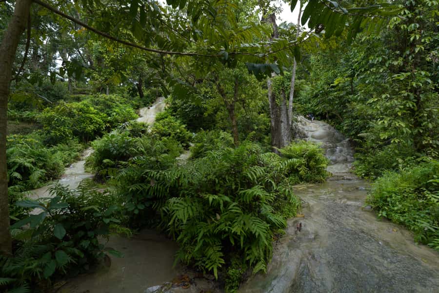 Chiang Mai: Bua Thong Sticky Waterfall & Huge Cave & Buffet - Lunch, fruit, and the real value of $30