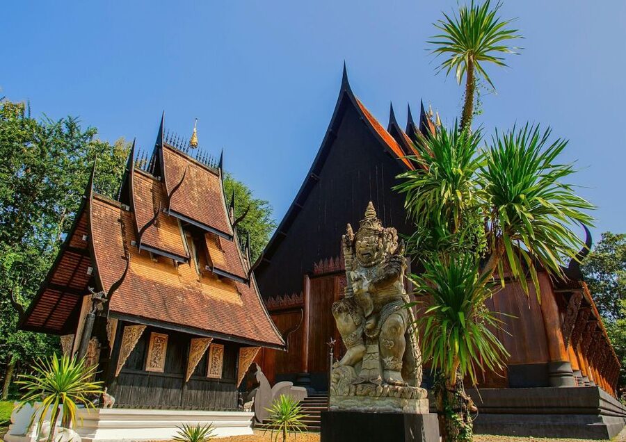 Chiang Mai: Chiang Rai Temples & Black House Discovery Tour - Lunch, comfort, and what is included