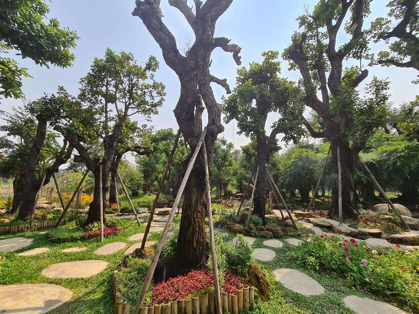 Chiang Mai: Dantewada Land of Angels & Sticky Waterfall Tour - Is the $54 price fair?
