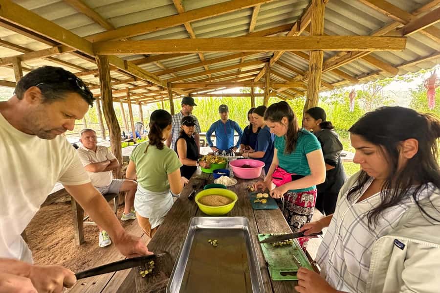 Chiang Mai: Day for Elephant Observation Only Half-day Trip - Key points to know before you book