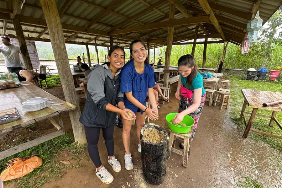 Chiang Mai: Day for Elephant Observation Only Half-day Trip - Learning how elephants are cared for
