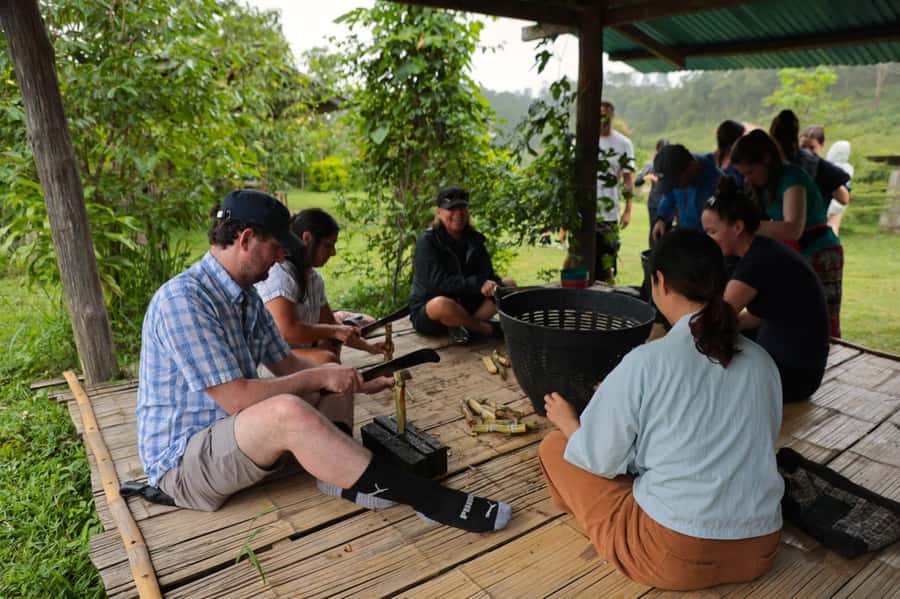 Chiang Mai: Day for Elephant Observation Only Half-day Trip - Feeding elephants while keeping your distance