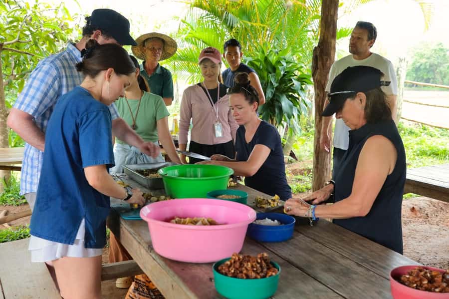 Chiang Mai: Day for Elephant Observation Only Half-day Trip - Who should choose this elephant day