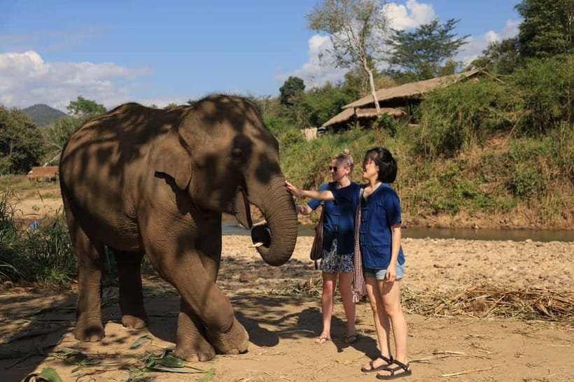 Chiang Mai: Doi Inthanon Hiking & Elephant Sanctuary Program - Coffee With a Karen Hilltribe Community