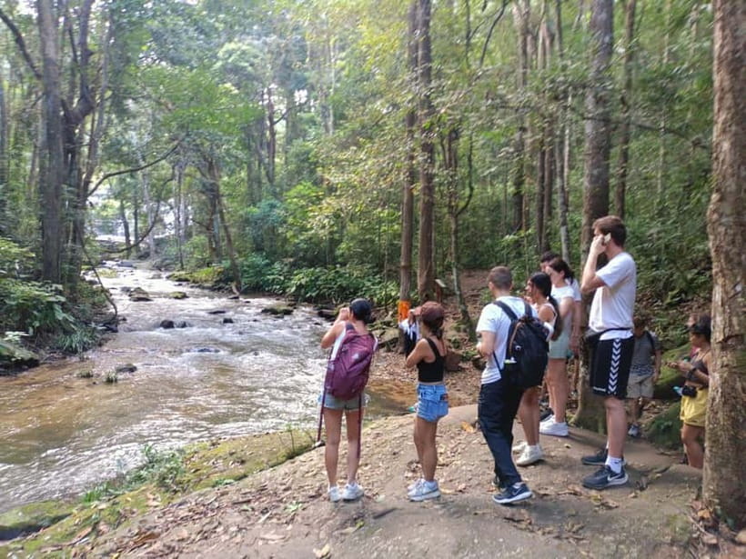 Chiang Mai: Doi Inthanon Hiking & Elephant Sanctuary Program - Guides, Group Size, and Day-to-Day Organization