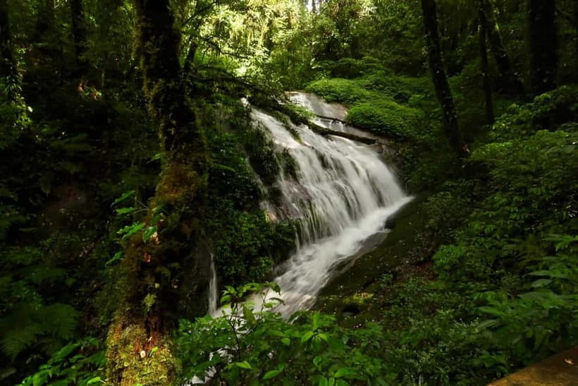 Chiang Mai: Doi Inthanon National Park and Kew Mae Pan Tour - Lunch after the walk