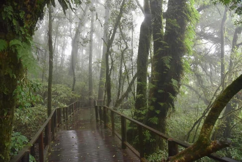 Chiang Mai: Doi Inthanon National Park and Kew Mae Pan Tour - Reaching Thailand’s highest spot at 2,565 meters