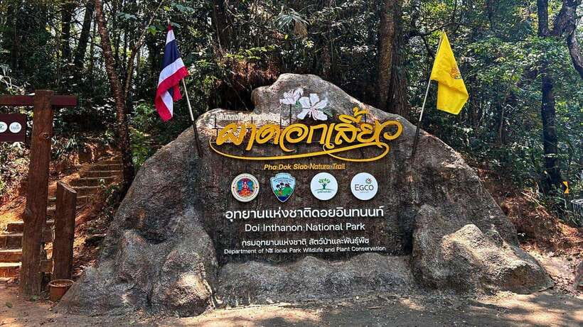 Chiang Mai: Doi Inthanon National Park and Pha Dok Siew Trek - Why Doi Inthanon makes a good escape from Chiang Mai
