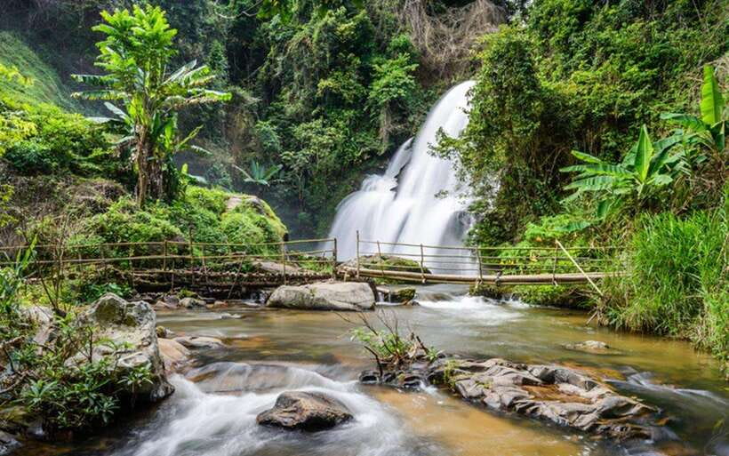 Chiang Mai: Doi Inthanon National Park and Pha Dok Siew Trek - The King and Queen Pagodas at 2,565 meters