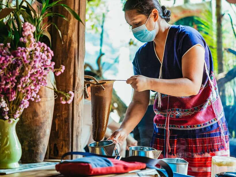Chiang Mai: Doi Inthanon National Park Eco-Friendly Tour - Lunch and the Mae Klang Luang village visit