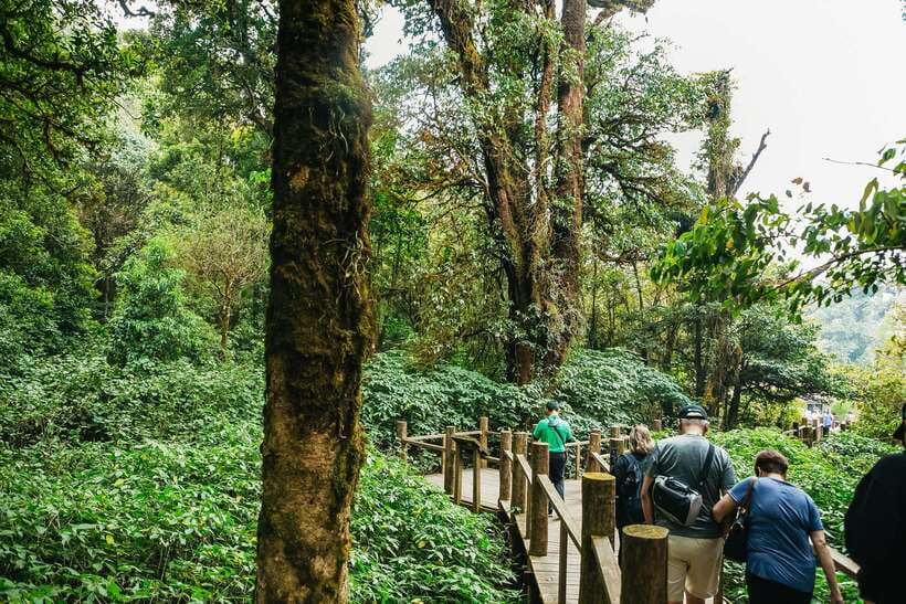 Chiang Mai: Doi Inthanon National Park Eco-Friendly Tour - The road from Chiang Mai to the high mountain