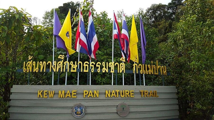 Chiang Mai:Doi Inthanon National Park & Hike at Kew Mae Pan - The King and Queen Pagodas