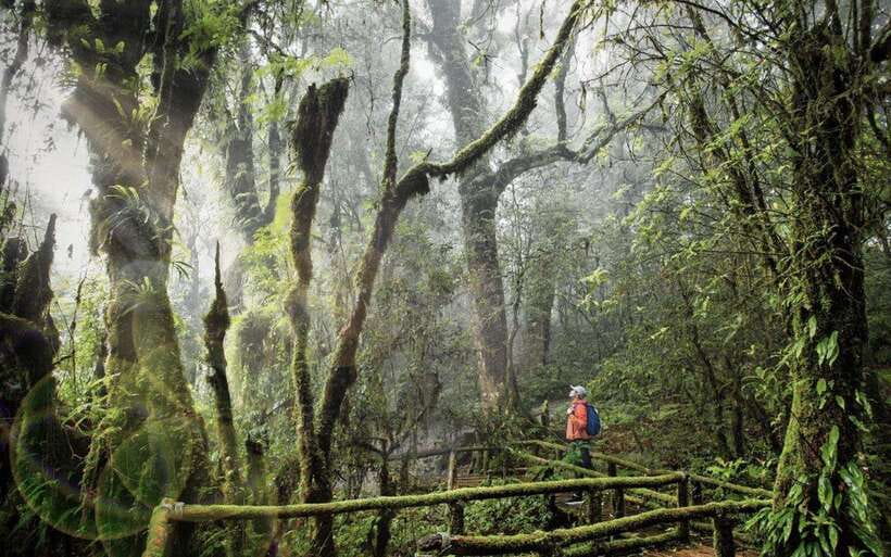 Chiang Mai: Doi Inthanon National Park Sightseeing Only - Why Doi Inthanon makes a strong day trip from Chiang Mai