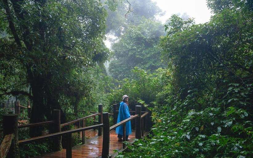 Chiang Mai: Doi Inthanon National Park Sightseeing Only - The King and Queen Pagodas: the visual high point