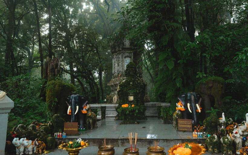 Chiang Mai: Doi Inthanon National Park Sightseeing Only - Sirithan Waterfall and the first change of pace