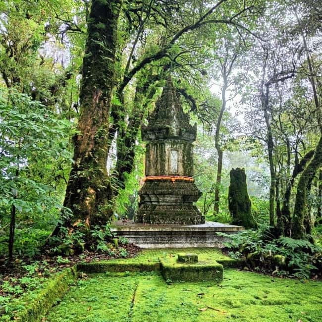 Chiang Mai: Doi Inthanon National Park+Trek Pha Dok Siew - Key Points