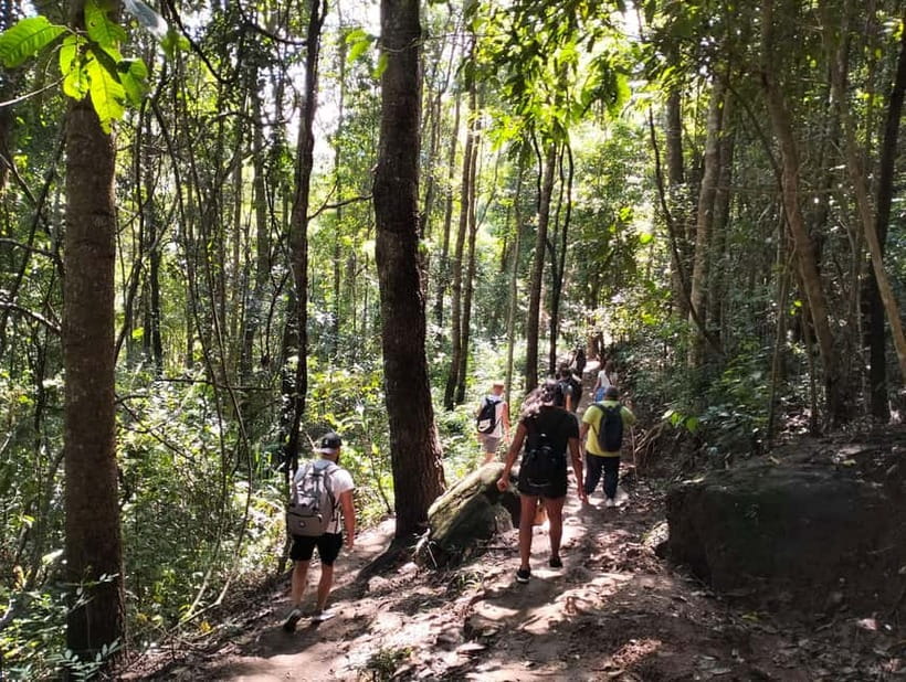 Chiang Mai: Doi Inthanon National Park+Trek Pha Dok Siew - Lunch, the Hmong Market, and Wachiratharn Waterfall