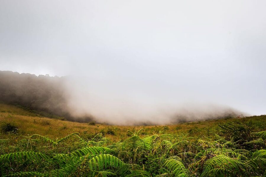 Chiang Mai: Doi Inthanon National Park, Waterfall & Lunch - Who will enjoy this tour most