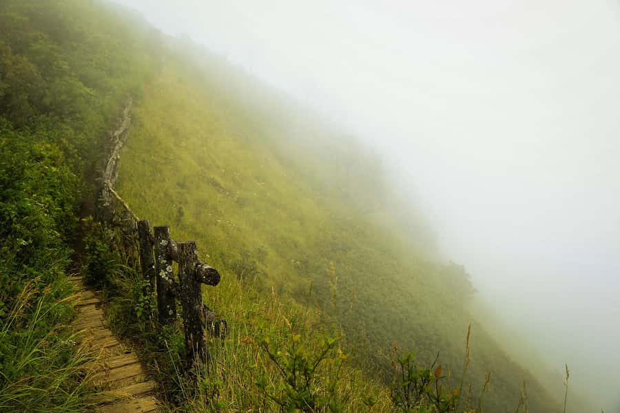 Chiang Mai: Doi Inthanon National Park, Waterfall & Lunch - Why Doi Inthanon makes a strong day trip