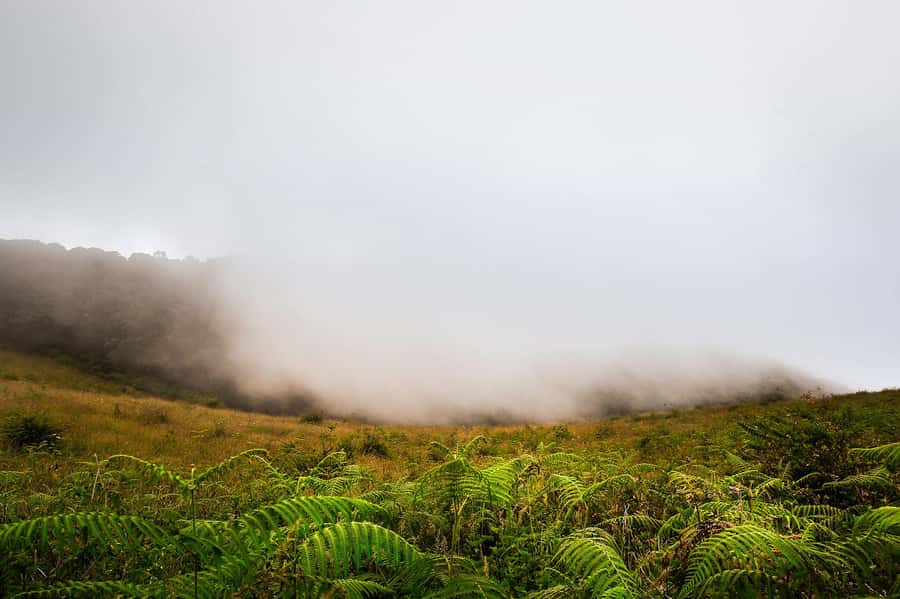 Chiang Mai: Doi Inthanon National Park, Waterfall & Lunch - Wachirathan Waterfall brings the drama