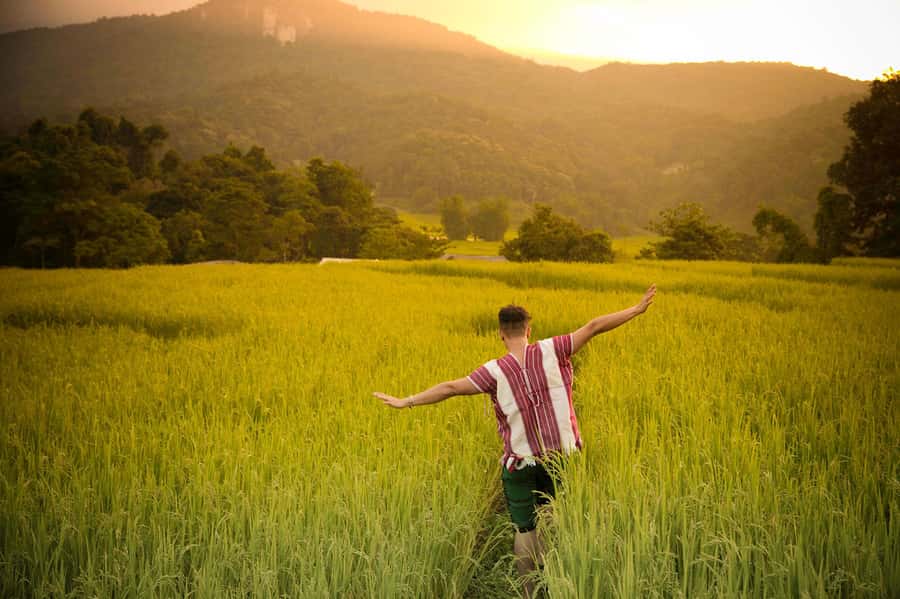 Chiang Mai: Doi Inthanon National Park, Waterfall & Lunch - The twin pagodas and the clothing rules