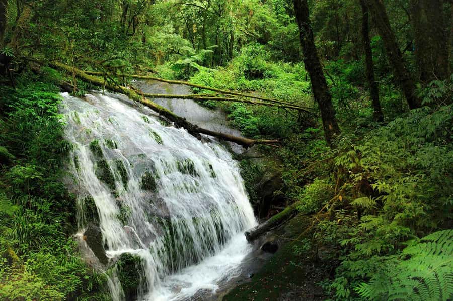 Chiang Mai: Doi Inthanon National Park, Waterfall & Lunch - Hotel pickup and the long road uphill