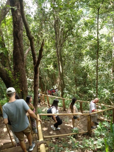 Chiang Mai: Doi Inthanon Park and Pha Dok Siew Hike Day Trip - The Twin Pagodas and their mountain views