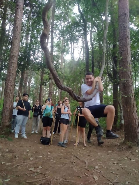 Chiang Mai: Doi Inthanon Park and Pha Dok Siew Hike Day Trip - Pha Dok Siew Nature Trail is the real highlight