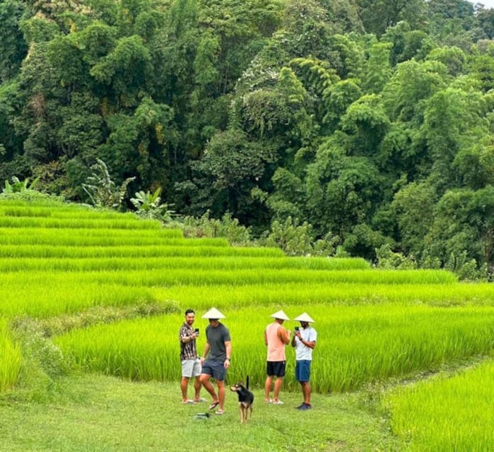 Chiang Mai: Doi Inthanon Park and Pha Dok Siew Trail Trek - What the $61 price really covers