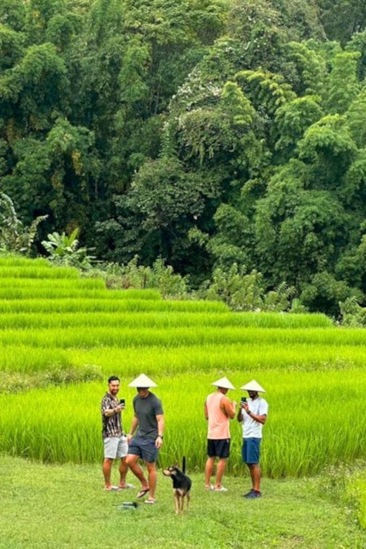 Chiang Mai: Doi Inthanon Park and Pha Dok Siew Trail Trek - The King and Queen Pagodas and their mountain gardens