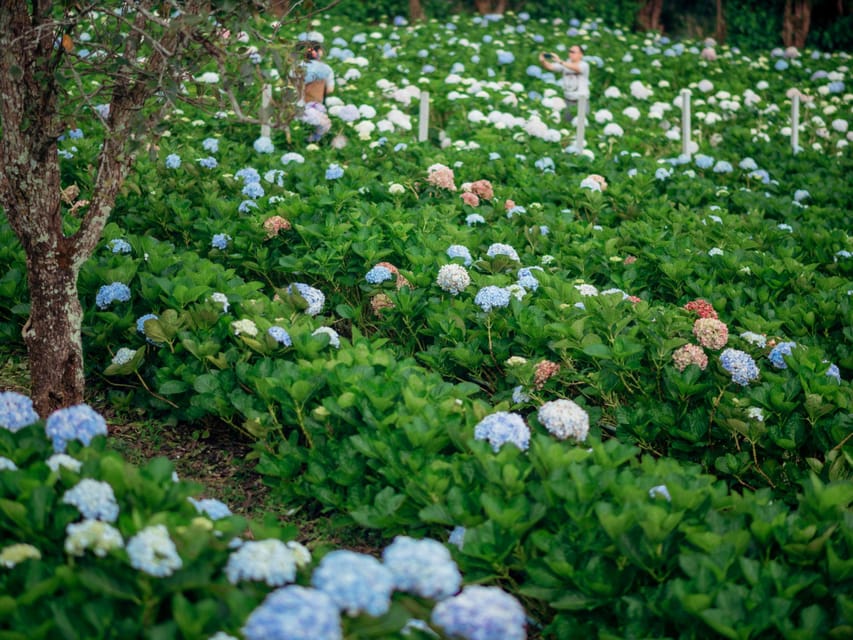 Chiang Mai: Doi Inthanon Park and Pha Dok Siew Trail Trek - A short stop at the Hmong Market