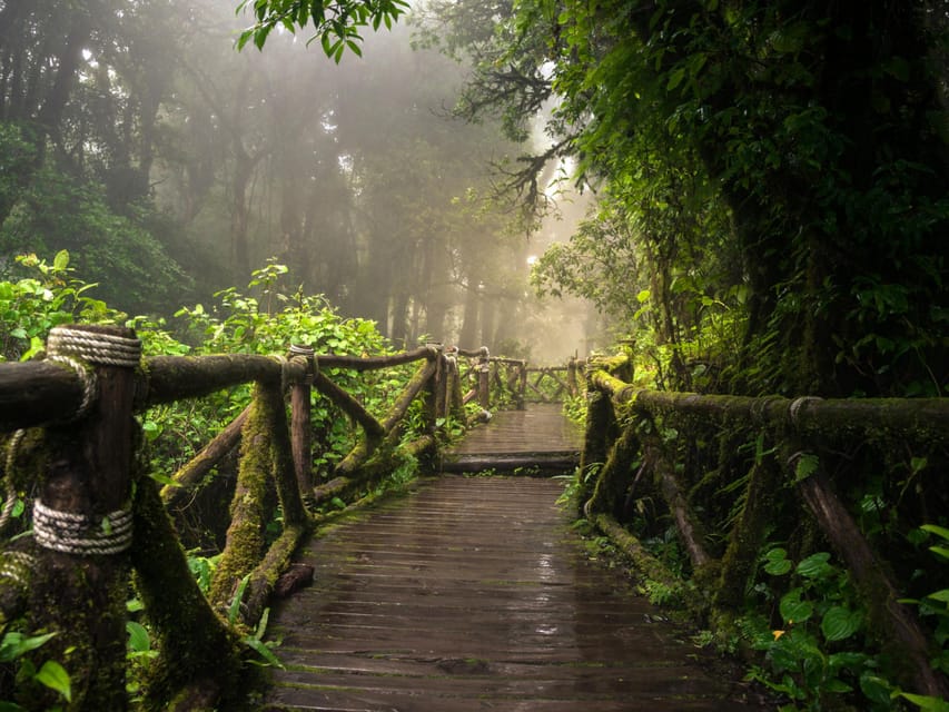 Chiang Mai: Doi Inthanon Park and Pha Dok Siew Trail Trek - Pha Dok Siew Trail: the best part of the day