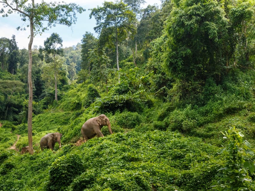Chiang Mai: Doi Inthanon Park and Pha Dok Siew Trail Trek - Standing at Thailand’s highest point