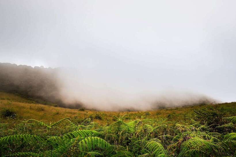 Chiang Mai: Doi Inthanon Park Tour & Kew Mae Pan Trail Hike - The King and Queen Pagodas, with a dress code