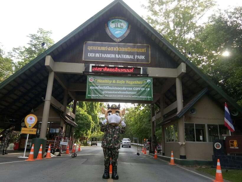 Chiang Mai: Doi Inthanon Park Tour & Kew Mae Pan Trail Hike - Kew Mae Pan Trail: the demanding heart of the tour