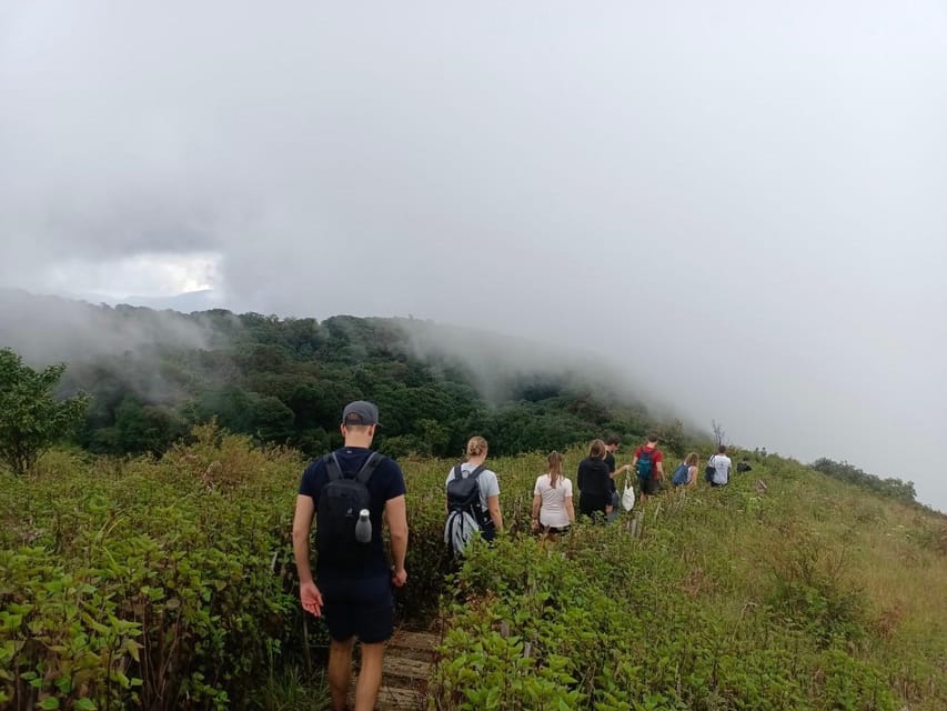 Chiang Mai: Doi Inthanon Park with Kew Mae Pan Hike Day Trip - Lunch, with a useful standard-option distinction