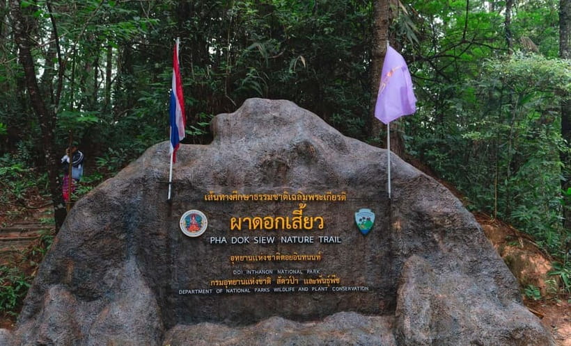 Chiang Mai: Doi Inthanon Trip with Pha Dok Siew Guided Trek - Key points to know before booking