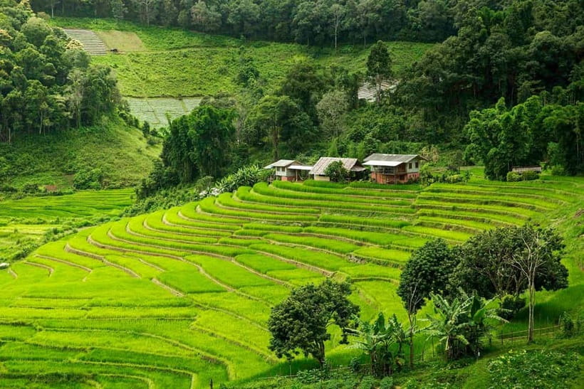 Chiang Mai: Doi Inthanon Trip with Pha Dok Siew Guided Trek - The King and Queen Pagodas and their open views
