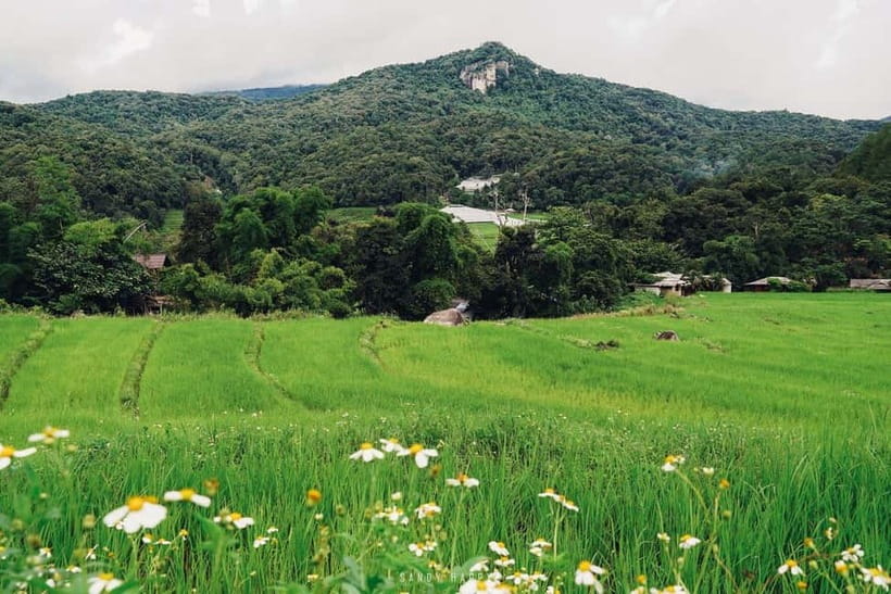 Chiang Mai: Doi Inthanon Trip with Pha Dok Siew Guided Trek - Best seasons, clothing, and physical demands