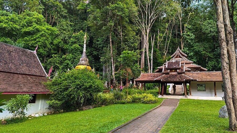 Chiang Mai: Doi Suthep and Wat Pha Lat Temple Evening Tour - Transport, meeting points, and family details