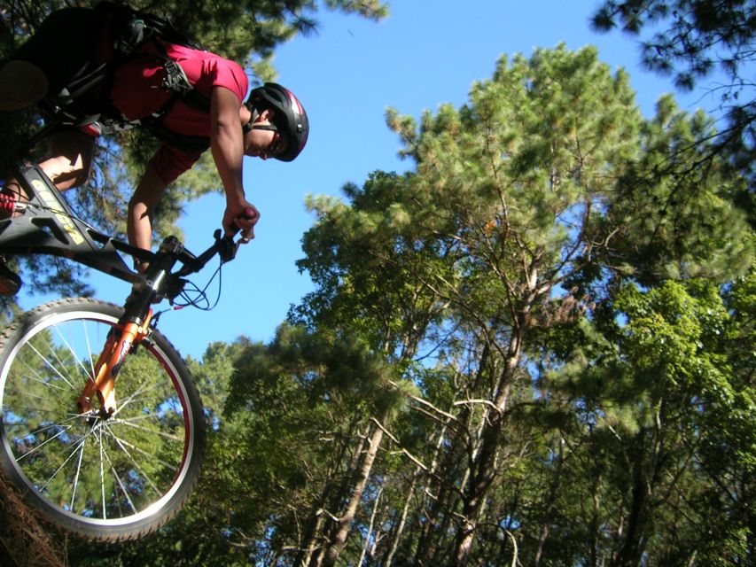 Chiang Mai: Doi Suthep National Park Leisure Hiking & Biking - Wat Pha Lat, the quieter temple